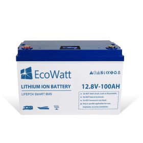 Ecowatt LiFePO4 Smart BMS 12.8v 100ah